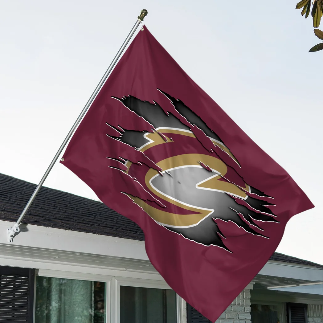 Athletic Slam Spirit Flag 3D Print, Everyday Fan Spirit Flag HVN1176CC